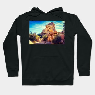 Desert Tones At Joshua Tree National Park Hoodie